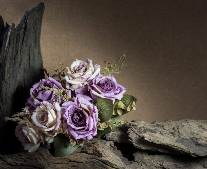 still life painting photography with purple roses and timber, love concept vintage style and darkness,
